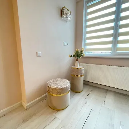 Modern Cozy Ultracentral *